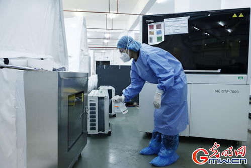 守滬者聯(lián)盟丨上海建成'火眼'實驗室，日檢測通量可達(dá)10萬單管